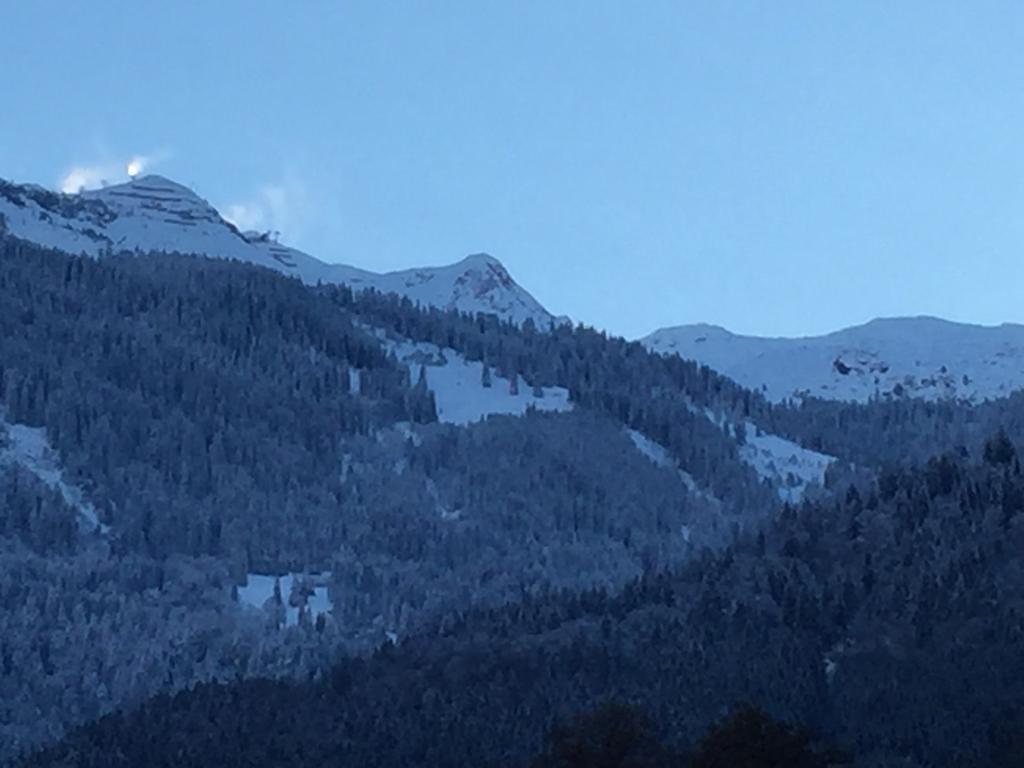 - Bergblick - * Vandans