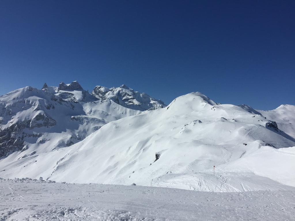 - Bergblick - Apartmán *